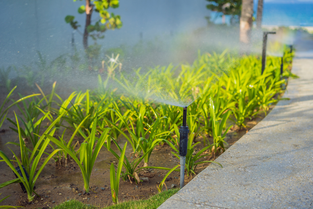 Garden Sprinkler on a Summer Day 